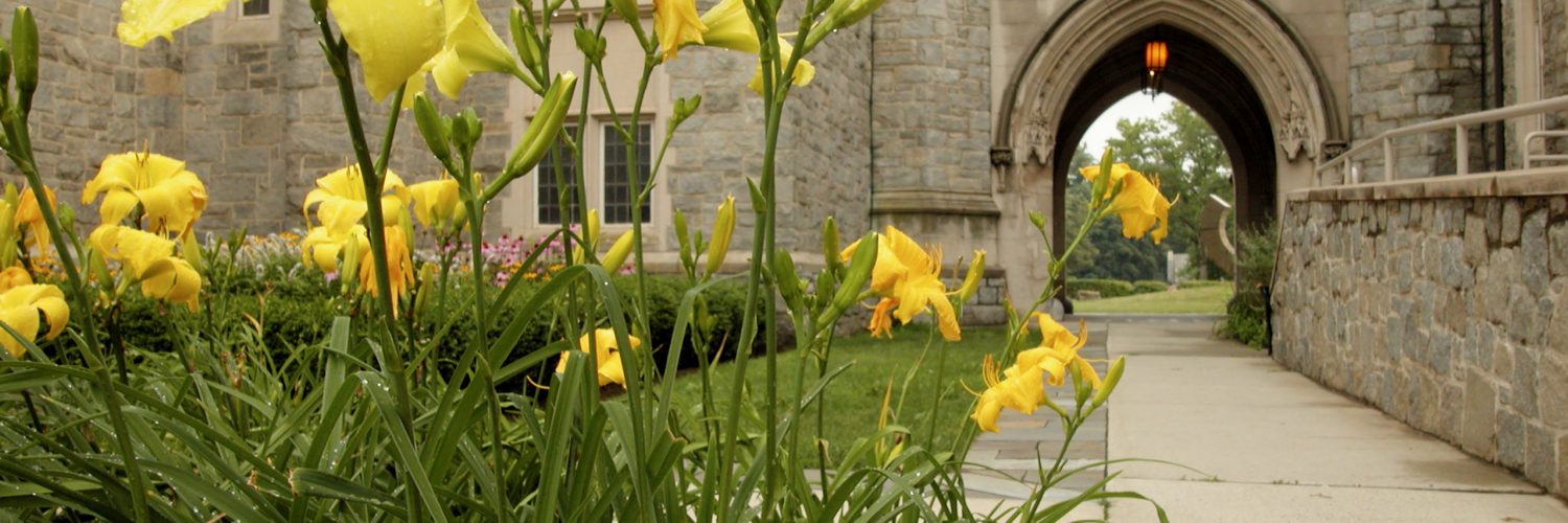 Tiger lillies grow outside Starr Hall at the Law School in Hartford.