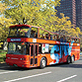 opentop_bus