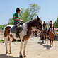 horse_riding