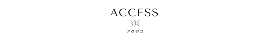 ã¢ã¯ã»ã¹