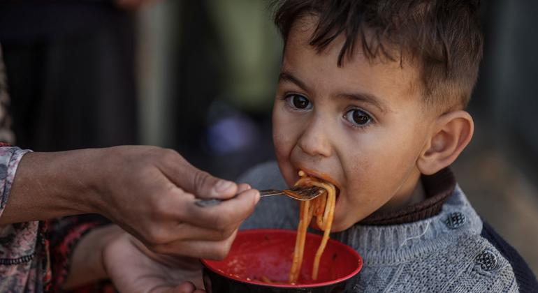 O PMA trabalha com seis parceiros e uma rede de 74 cozinhas comunitárias para entregar mais de 200 mil refeições quentes diariamente às pessoas no sul e centro de Gaza