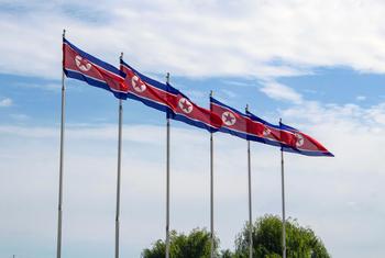 Flags of the Democratic People's Republic of Korea (DPRK) fly in Pyongyang.