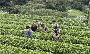 邀请湖南湘西古丈、永顺等县当地居民参与进来。