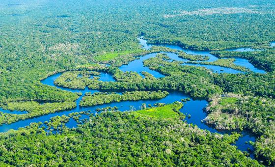 Vencedores do Prêmio Equador deste ano “exemplificam o potencial transformador de soluções indígenas e locais baseadas na natureza no combate à crise climática”