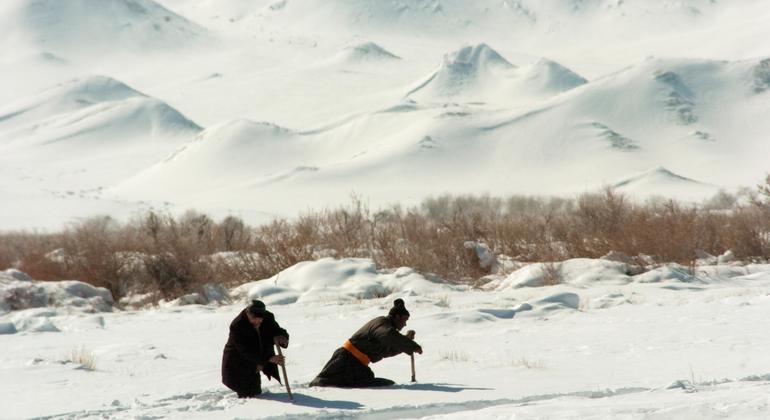 在蒙古国西部偏远的科布多省农村地区，人们用棍子在过膝的积雪中探路。（文件）