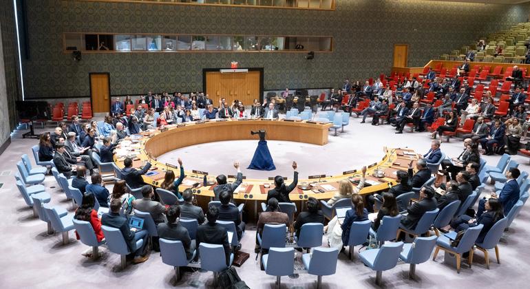 Заседание Совета Безопасности ООН. 