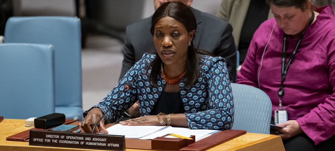 Director Edem Wosornu briefing the Security Council.