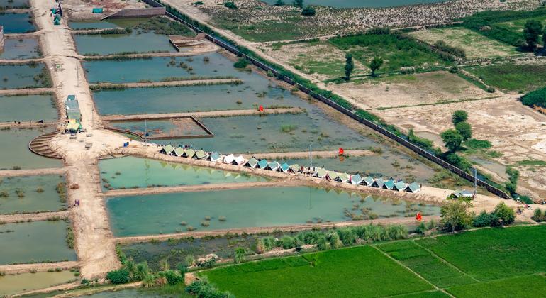 Secretary-General António Guterres (not seen), along with Muhammad Shehbaz Sharif, Prime Minister of the Islamic Republic of Pakistan, witnessed the impact of the floods in the provinces of Sindh and Balochistan. 