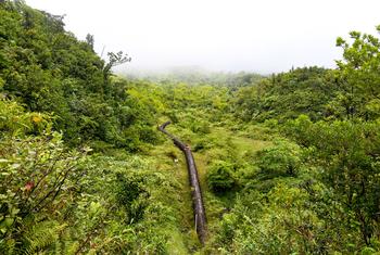 Dominica's geothermal energy pipe, Roseau Valley