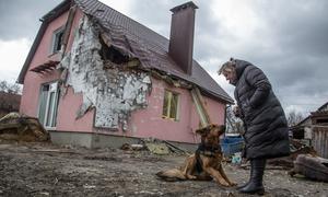 Ukrainian woman with her dog is standing in the middle of a damaged household. 