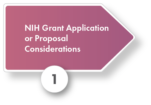 Pre and post award process graphic