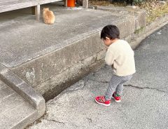 神社にお参り後、再び手を合わせる２歳児　その先にいたのは…？