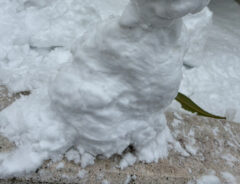 雪だるまの写真