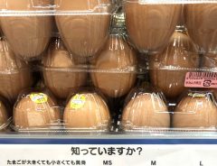 鶏卵のサイズは何の違い？　棚に設置された説明文に「な、なんだってー！？」