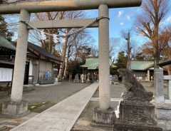 「考えられない」「罰が当たる」　神社を訪れる親子の危険な行動に注意喚起