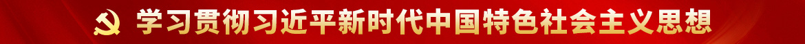 学习贯彻习近平新时代中国特色社会主义思想