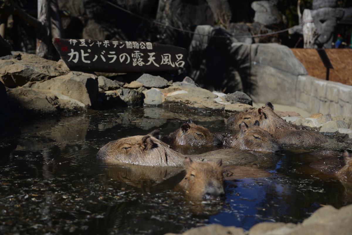 【雑記】家族のありがたみに気づくことができたごくありふれた週末