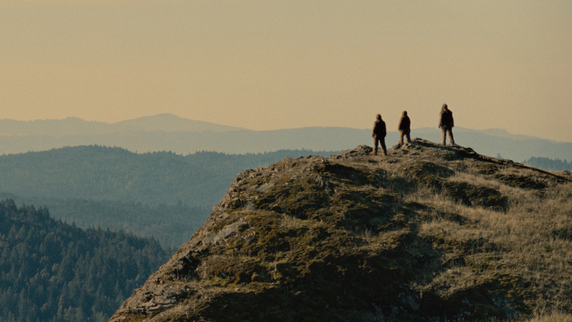 Three Sasquatches stand on a hillside. 