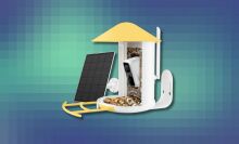 a yellow netvue birdfy smart bird feeder with solar panel