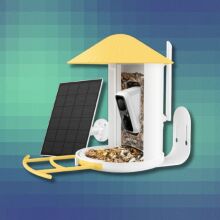 a yellow netvue birdfy smart bird feeder with solar panel