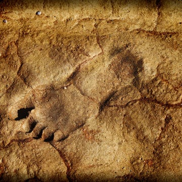 footprint