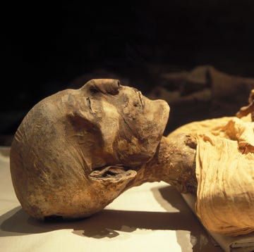 egypt's mummies