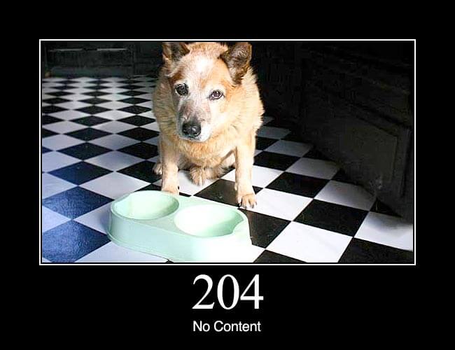 204 No Content