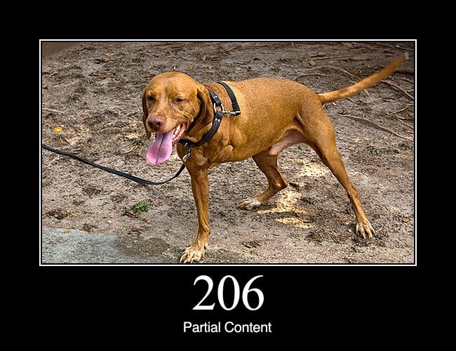 206 Partial Content