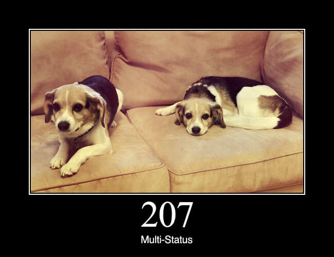 207 Multi-Status