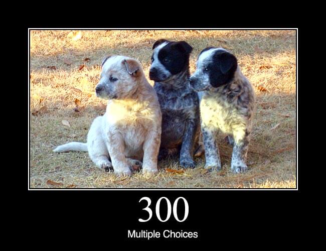 300 Multiple Choices