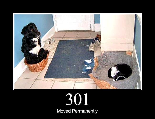 301 Moved Permanently