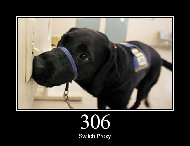 306 Switch Proxy