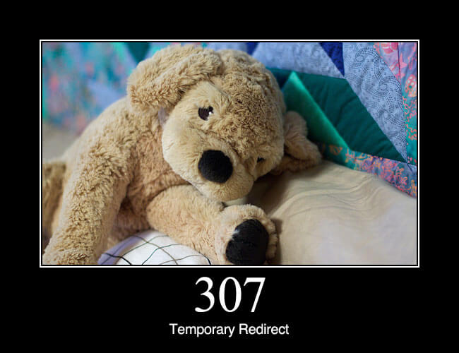 307 Temporary Redirect