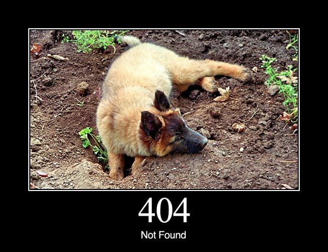 404 Not Found