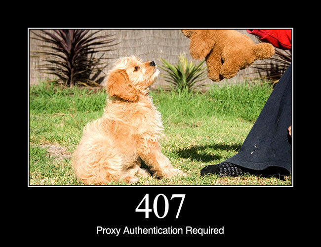 407 Proxy Authentication Required