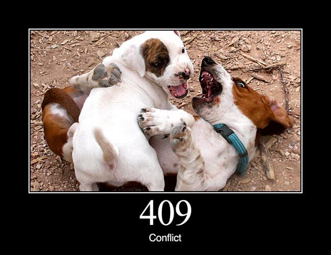 409 Conflict