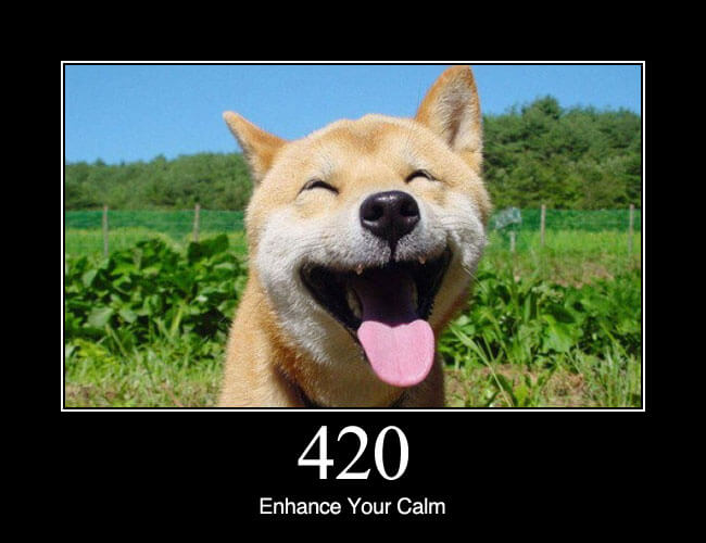 420 Enhance Your Calm