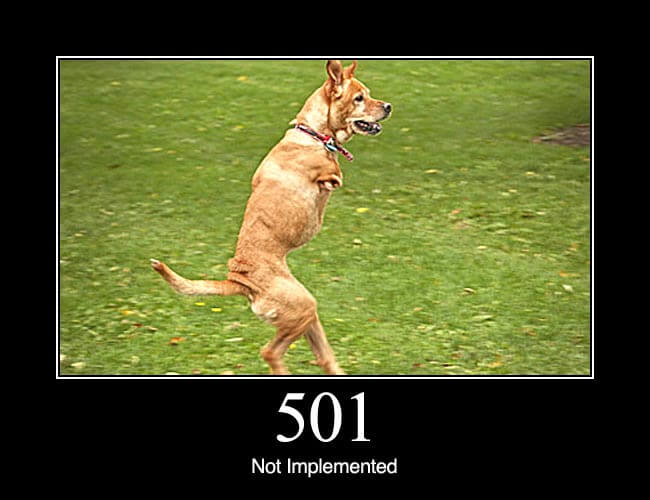 501 Not Implemented