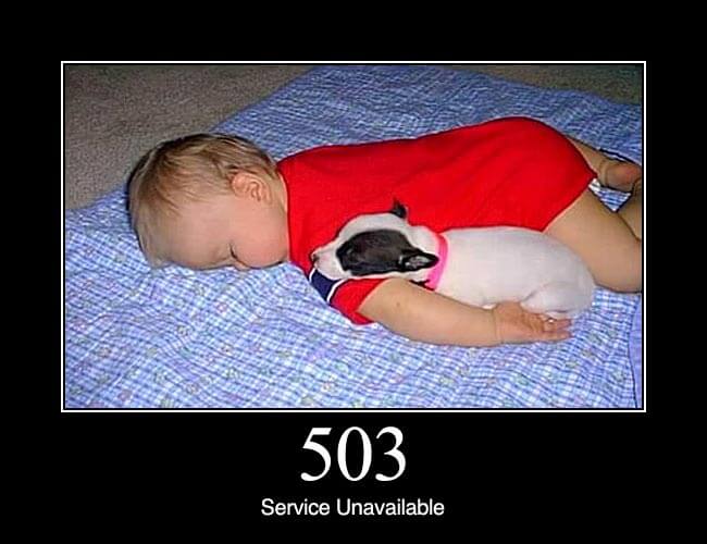 503 Service Unavailable