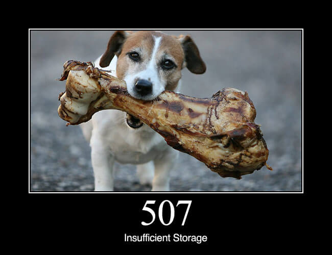 507 Insufficient Storage