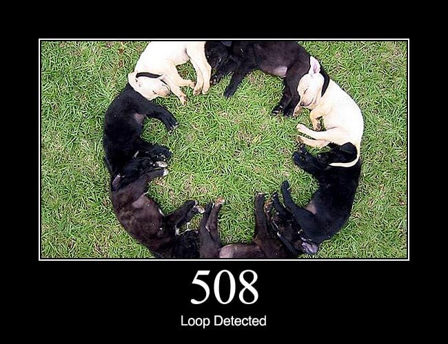 508 Loop Detected