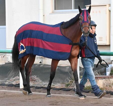 　初の重賞舞台に臨むエンブロイダリー（撮影・持木克友）