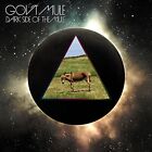 Gov't Mule - Dark Side Of The Mule - Gov't Mule CD F2VG The Economic Fast Free Post