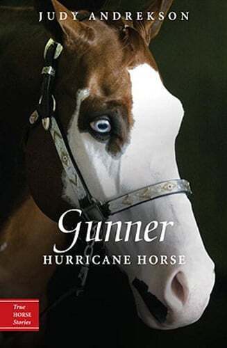 Gunner: Hurricane Horse by Judy Andrekson: New - Afbeelding 1 van 1