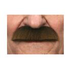 Viving Costumes 202820 Moustache, Multi Color, One Size