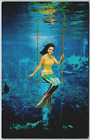 Vintage Postcard Weeki Wachee Mermaid Underwater Show Florida Scenic View 1969