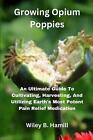 Growing Opium Poppies: An Ultimate Guide To Cultivating, Harvesting, And Utilizi