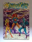 Thundercats Annual 1990 Hardback Book The Fast Free Shipping