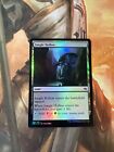 Magic the Gathering MTG Jungle Hollow (169) Fate Reforged   LP FOIL