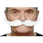 Viving Costumes 203912 Moustache, Multi Color, One Size